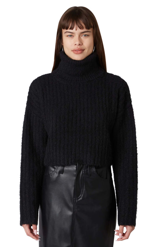 Black Fuzzy Turtleneck Sweater